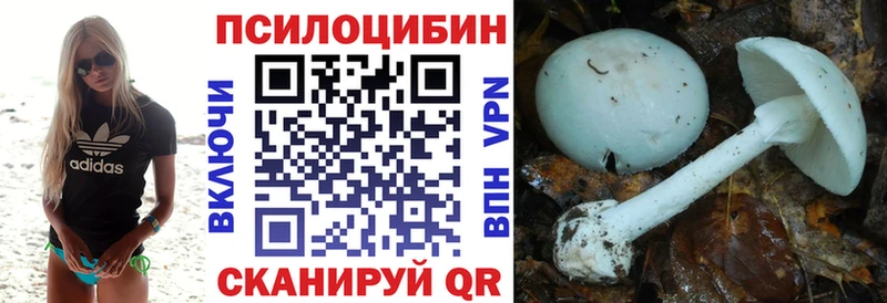 Псилоцибиновые грибы мицелий  Лениногорск 