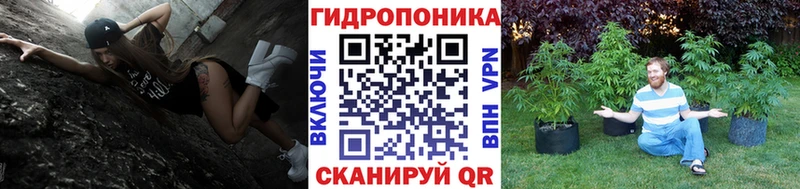 Конопля VHQ Лениногорск