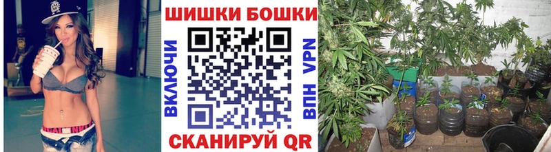 Конопля планчик Лениногорск